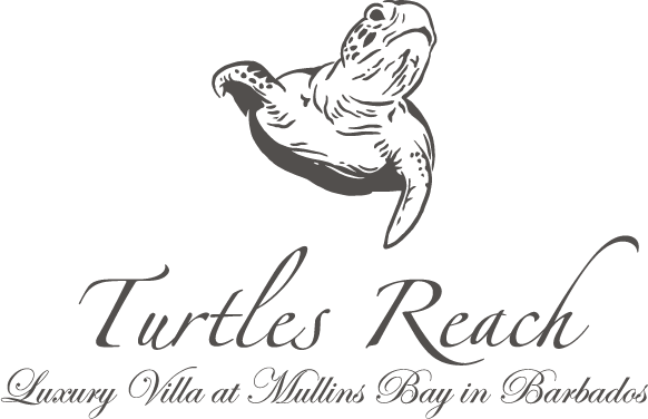 Turtles Reach Logo